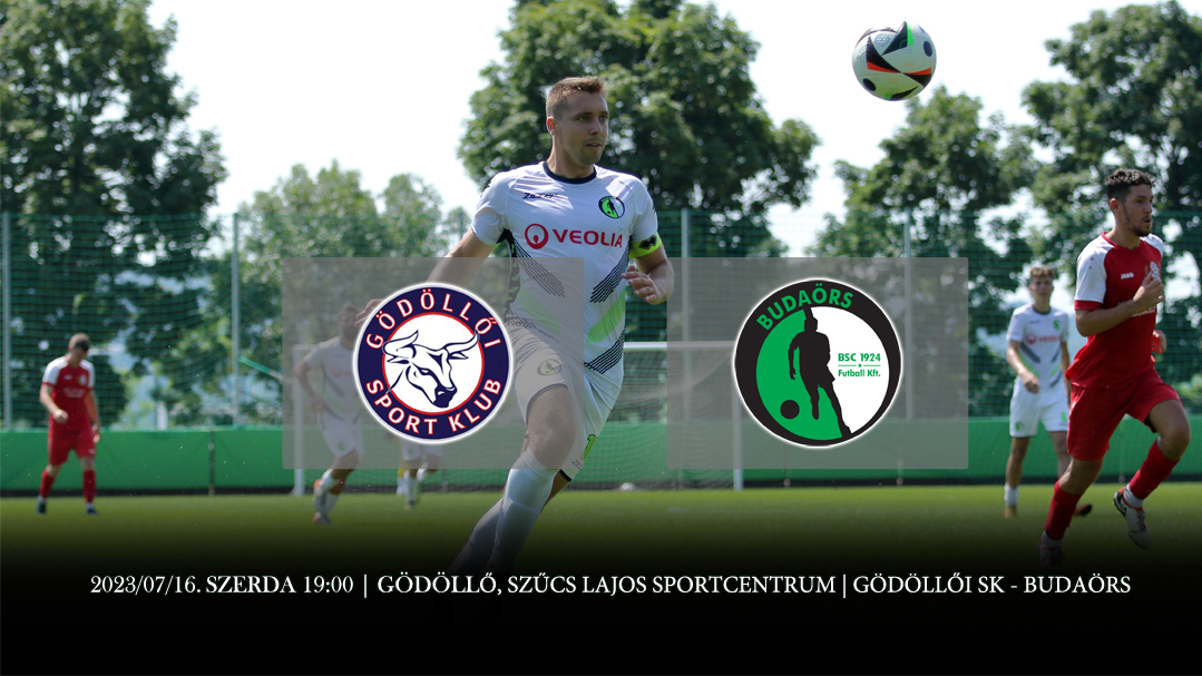 BSC 2425 NYARI FELKESZULES GODOLLOI SK BUDAORS BORITO KICSI