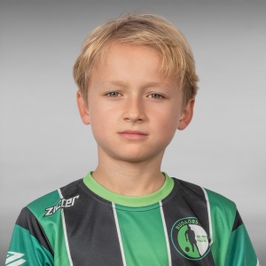 dani_vid_vazul