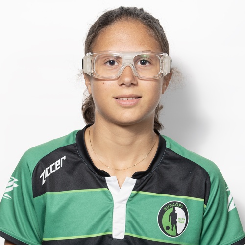 ben_arfa_zina