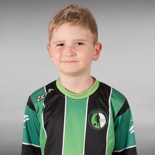 ludvig_akos